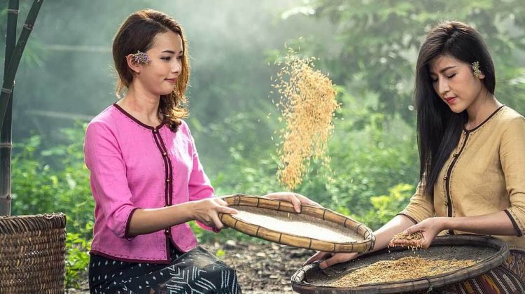 Thousands of bad Commas, wild Question Marks and devious