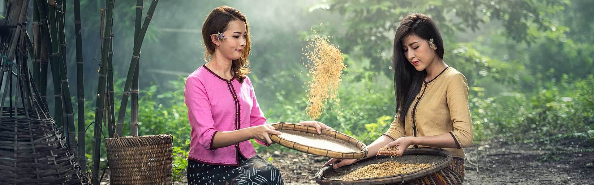 Thousands of bad Commas, wild Question Marks and devious