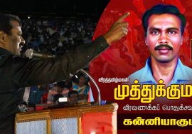 04-02-2018 கன்னியாகுமரி | சீமான் வீரவணக்கவுரை | முத்துக்குமார் 9ஆம் ஆண்டு வீரவணக்கப் பொதுக்கூட்டம்