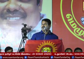 23-3-2017 RK Nagar By Poll: வேட்பாளர் அறிமுகப்பொதுக்கூட்டம் – சீமான் எழுச்சியுரை புதுவண்ணாரப்பேட்டை