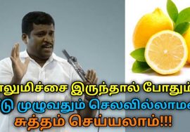 எலுமிச்சை இருந்தால் போதும் வீடு முழுவதும் சுத்தம் செய்யலாம் | Healer Baskar speech on lemon uses