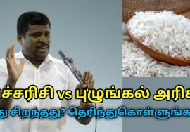 பச்சரிசி,புழுங்கல் அரிசி எது சத்து நிறைந்தது? | Healer Baskar speech on best rice for good health