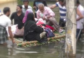 ஊரும் நீரும் காக்க இலட்சம் பனையை விதைத்திட்டோம்!பேரிடரில் துயரம் போக்க ஓடி உழைத்திட்டோம்! #Seeman4TN