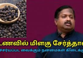 மிளகு- மருத்துவ பயன்கள் | தினமும் உணவில் சேர்க்க வேண்டும் | Dr.Sivaraman speech on pepper benefits