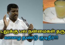 வாழை தண்டு குடிநீர் நன்மைகள் மற்றும் தயாரிக்கும் முறை | Healer Baskar speech on banana stem water