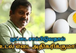 முட்டை சாப்பிட்டால் உடல் எடையை அதிகரிக்குமா | Dr.Sivaraman speech on egg and weight gain