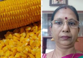 #Shorts50:Easy Tips for beginners to remove corn from its cob for preparing dishes-Mallika Badrinath