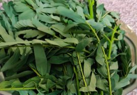 #Shorts 54: அகத்திக்கீரையை அடிக்கடி சாப்பிட்டால் ஆரோக்கியமாக இருக்கலாம் – Mallika Badrinath