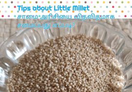 V log :Little millet -சாமை அரிசியில் உள்ள சத்துக்கள் என்ன?எப்படி சுவைபட சமைப்பது?- Mallika Badrinath