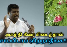 உடலின் பல வருட கழிவுகளை வெளியேற்றும் அகத்தி கீரை | Healer Baskar speech on benefits of agathi keerai