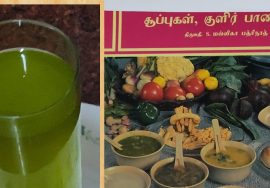 #Shorts 87 :Gooseberry mint Squash / நெல்லிக்காய்  புதினா ஜுஸ்