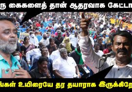 ஆதரவாக கைகளைத் தான் கேட்டான்.. நாங்கள் உயிரையே தர தயாராக இருக்கிறோம்! – கோவை நாசருக்கு சீமான் பதில்