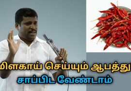 உணவில் மிளகாய் சேர்க்க வேண்டாம் | Healer Baskar speech on danger of chilly