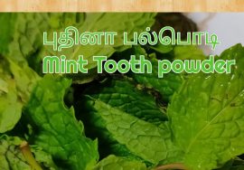 #Shorts 95 : புதினா பல்பொடி – பல் ஈறுகளை காக்கும் – செய்வது சுலபம்/ General tips – Mallika Badrinath