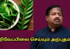 கறிவேப்பிலை செய்யும் நன்மைகள் | Dr.Sivaraman speech on curry leaves