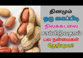 தினமும் ஒரு கைப்பிடி நிலக்கடலை சாப்பிடுங்க – பல நன்மைகள் கிடைக்கும் | Groundnut health benefits