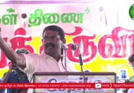 19-06-2022 நரசிங்கனூர் பனை கனவுத் திருவிழா – சீமான் சிறப்புரை | பனங்காடு அறக்கட்டளை | நியூஸ் 7 அக்ரி