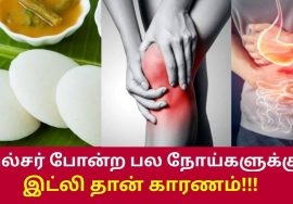 இட்லியை தவறாக சமைப்பதினால் பல்வேறு நோய்கள் வருகிறது | Danger of idli | Ulcer, Piles, Joint pain