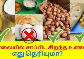 சிறந்த காலை உணவு பட்டியல் – இட்லி தோசை தவிர்க்க வேண்டும் | Best healthy morning breakfast recipes