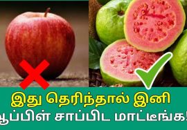 கொய்யா பழத்தின் வியக்கவைக்கும் நன்மைகள் | Amazing health benefits of Guava