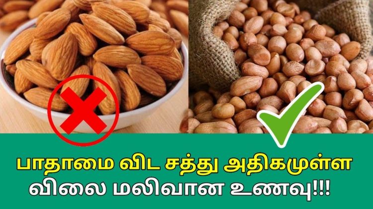 பாதாமை விட சத்து அதிகமுள்ள நிலக்கடலை | Groundnut vs Badam | Health benefits