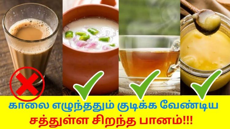 காலையில் குடிக்க வேண்டிய சத்துள்ள பானம் | Healthy morning drink in empty stomach