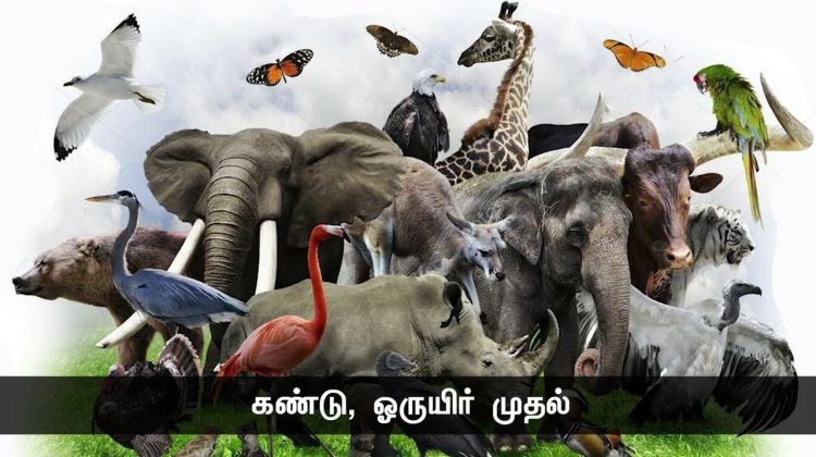 ஒட்டுமொத்த மனித குலத்திற்கு உலக கவிதை எழுதியது தமிழ்! – கவிப்பேரரசு  வைரமுத்து #நாளும்பலநற்செய்திகள்
