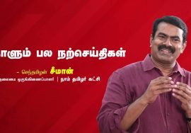 இனிமேலாவது புயலுக்குத் தாக்குப்பிடிக்கும் நம் மண் சார்ந்த மரங்களைத் தூக்கிப்பிடிப்போம்!