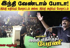 சீமான் எழுச்சியுரை | நவ. 01 தமிழ்நாடு நாள் | மாபெரும் இந்தி எதிர்ப்புப் பேரணிப் பொதுக்கூட்டம் சென்னை